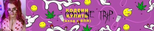 дмт Нея