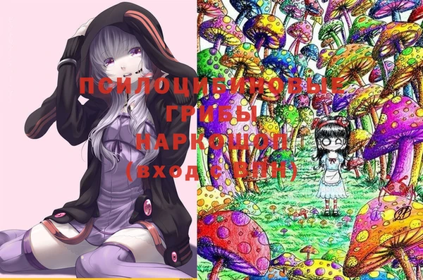 дмт Нея