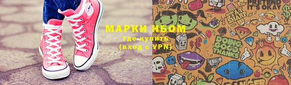 дмт Нея